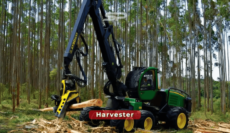 Curso de Grua Florestal Master